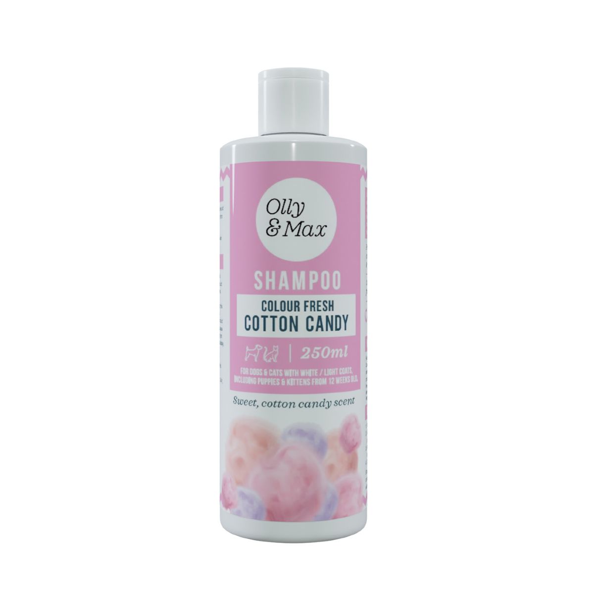 Colour Fresh Shampoo