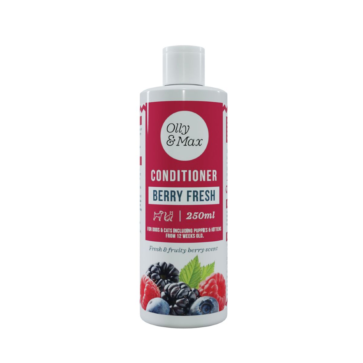 Berry Fresh Conditioner